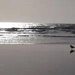 فندق Vendee Vue *